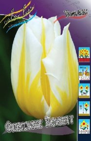 Тюльпан Флэминг Кокетт (Tulipa Flaming Coquette), 10шт, Color Line