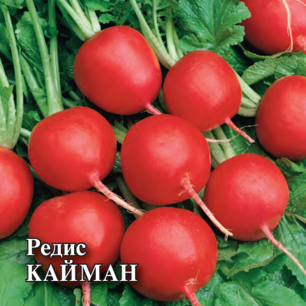 Семена Редис Кайман, 100г, Гавриш, Фермерское подворье