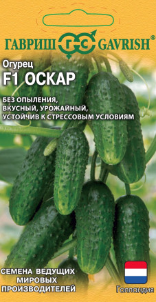 Семена Огурец Оскар F1, 5шт, Гавриш, Ведущие мировые производители