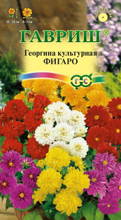 Семена Георгина культурная Фигаро, смесь, 0,3г, Гавриш, Цветочная коллекция