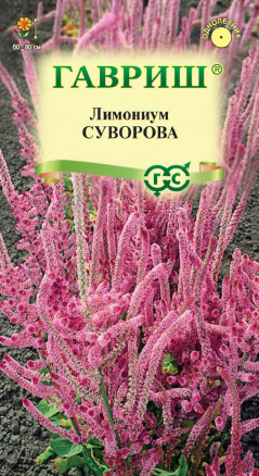 Семена Лимониум Суворова, 0,01г, Гавриш, Цветочная коллекция