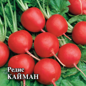 Семена Редис Кайман, 25г, Гавриш, Фермерское подворье