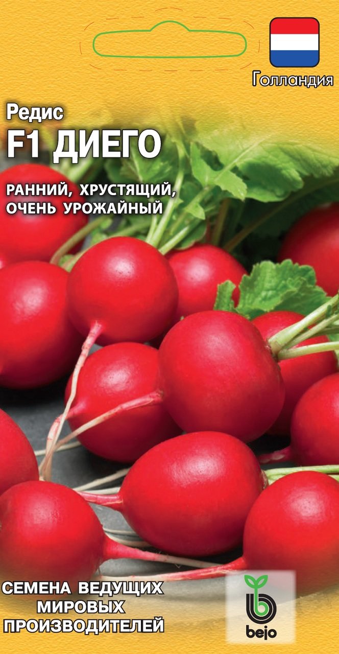 Семена Редиска Из Голландии Купить На Валберис