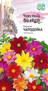 Семена Георгина Чародейка, смесь, 0,3г, Гавриш, Чудесный балкон