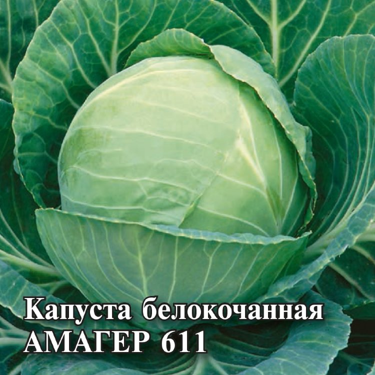 Семена Капуста белокочанная Амагер 611, 10г, Гавриш, Фермерское ...