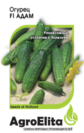 Семена Огурец Адам F1, 5шт, AgroElita, Bejo