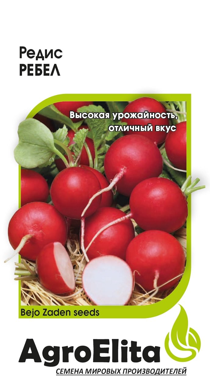 Где Купить Семена Редиса