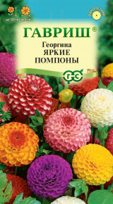 Семена Георгина Яркие помпоны, смесь, 0,2г, Гавриш, Цветочная коллекция
