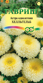 Семена Астра Хелльгельб светло-желтая, помпонная, 0,3г, Гавриш