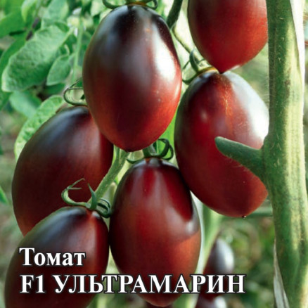 Семена Томат Ультрамарин F1, 25г, Гавриш, Фермерское подворье