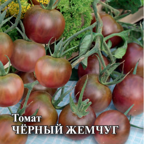 Семена Томат Черный жемчуг, 5г, Гавриш, Семена от автора