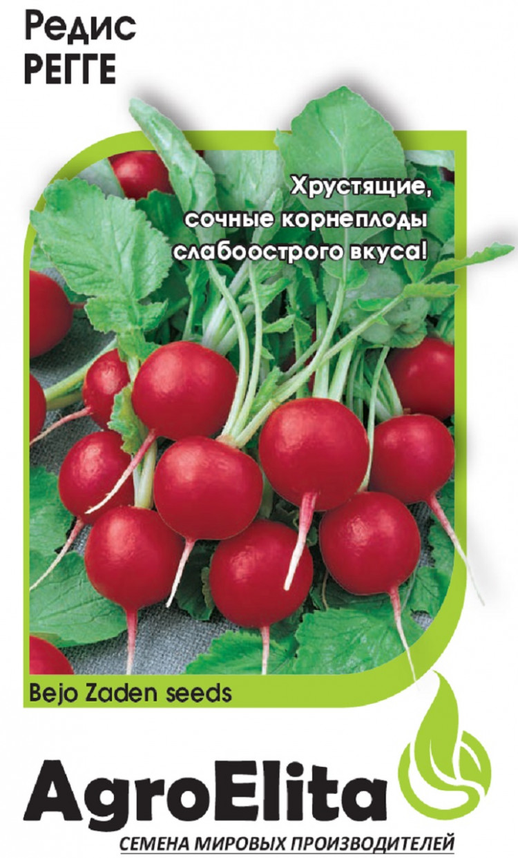 Семена Редиска Из Голландии Купить На Валберис