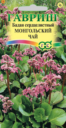 Семена Бадан сердцелистный Монгольский чай, 0,01г, Гавриш, Цветочная коллекция