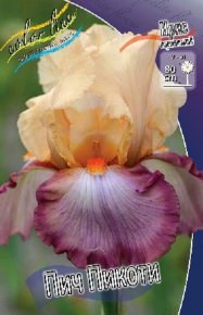 Ирис Пич Пикоти (Iris Peach Picotee), 2шт, Color Line