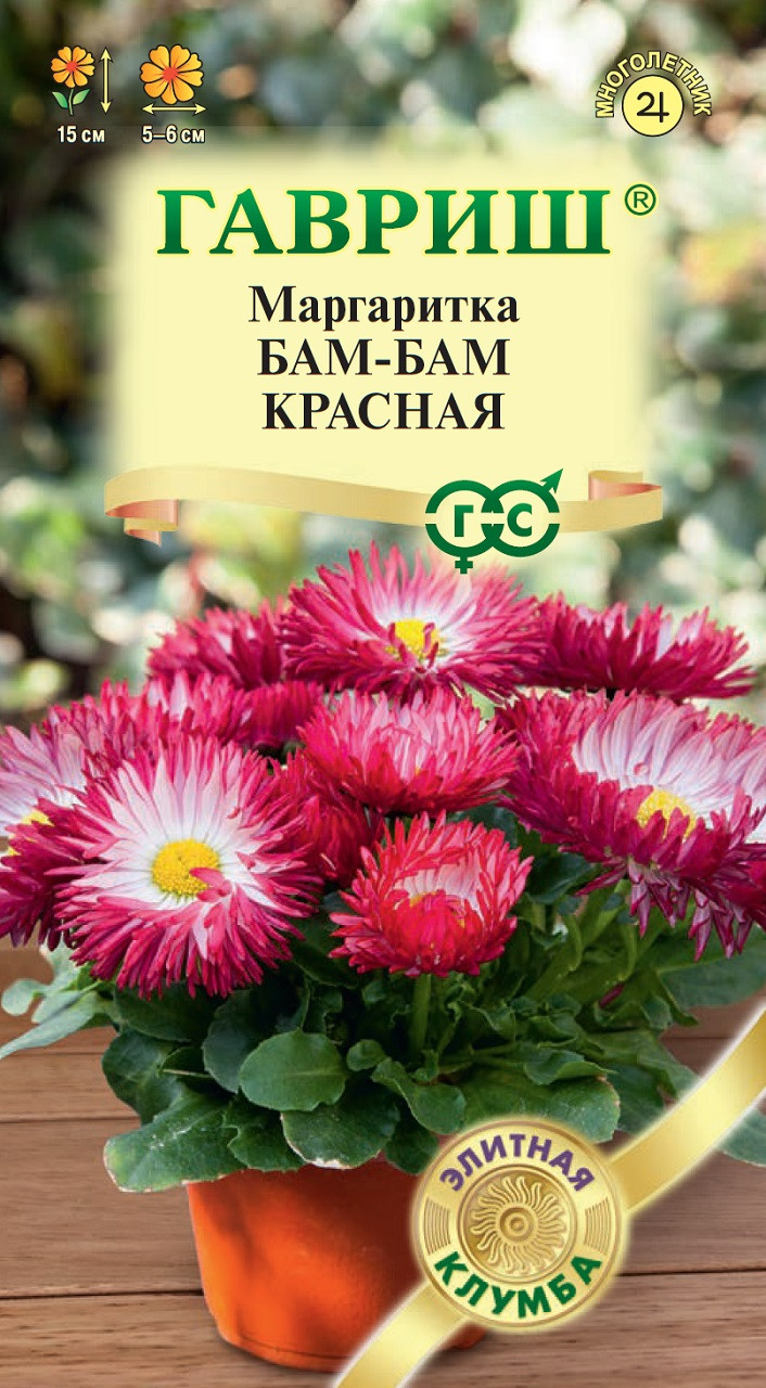 Маргаритки Семена Купить