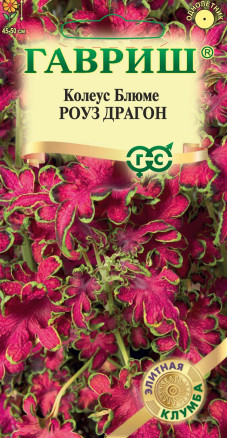 Семена Колеус Блюме Роуз Драгон, 4шт, Гавриш, Элитная клумба