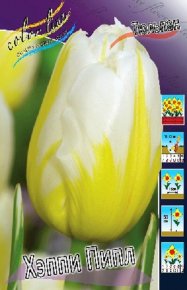 Тюльпан Хэппи Пипл (Tulipa Happy People), 10шт, Color Line