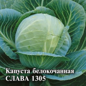 Семена Капуста белокочанная Слава 1305, 10г, Гавриш, Фермерское подворье