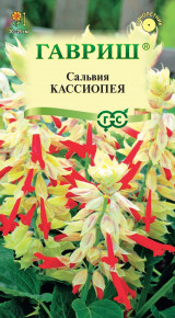 Семена Сальвия Кассиопея, 4шт, Гавриш, Цветочная коллекция