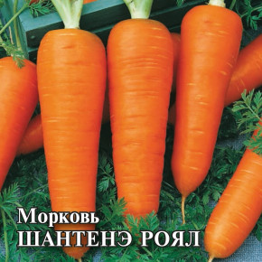 Семена Морковь Шантенэ Роял, 100 г, Гавриш, Фермерское подворье