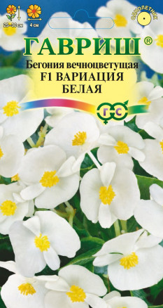 Семена Бегония вечноцветущая Вариация белая F1, 5шт, Гавриш, Цветочная коллекция