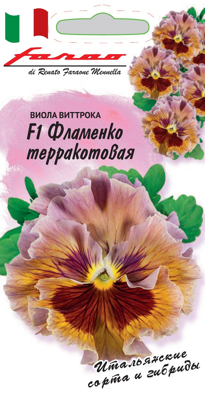 Семена Фламенко Купить
