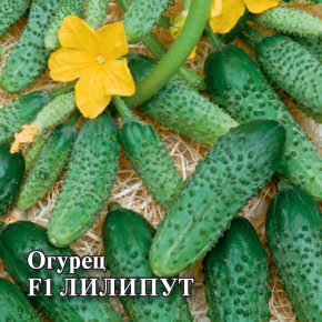 Семена Огурец Лилипут F1, 250шт, Гавриш, Фермерское подворье
