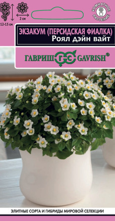 Семена Экзакум (Персидская фиалка) Роял дэйн вайт, 4шт, Гавриш