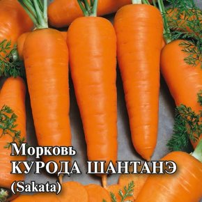 Семена Морковь Курода Шантанэ, 10г, Гавриш, Фермерское подворье, Sakata