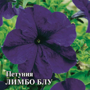 Семена Петуния крупноцветковая Лимбо Блу, 100шт, Гавриш, Цветы для профессионалов