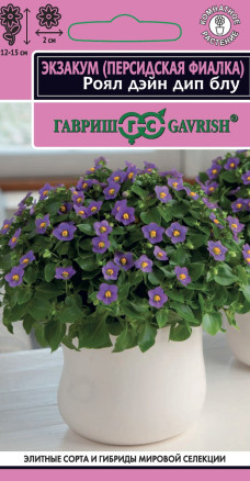 Семена Экзакум (Персидская фиалка) Роял дэйн дип блу, 4шт, Гавриш