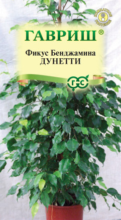 Семена Фикус Бенджамина Дунетти, 0,01г, Гавриш, Цветочная коллекция