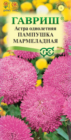 Семена Астра Пампушка мармеладная, помпонная, 0,3г, Гавриш, Цветочная коллекция