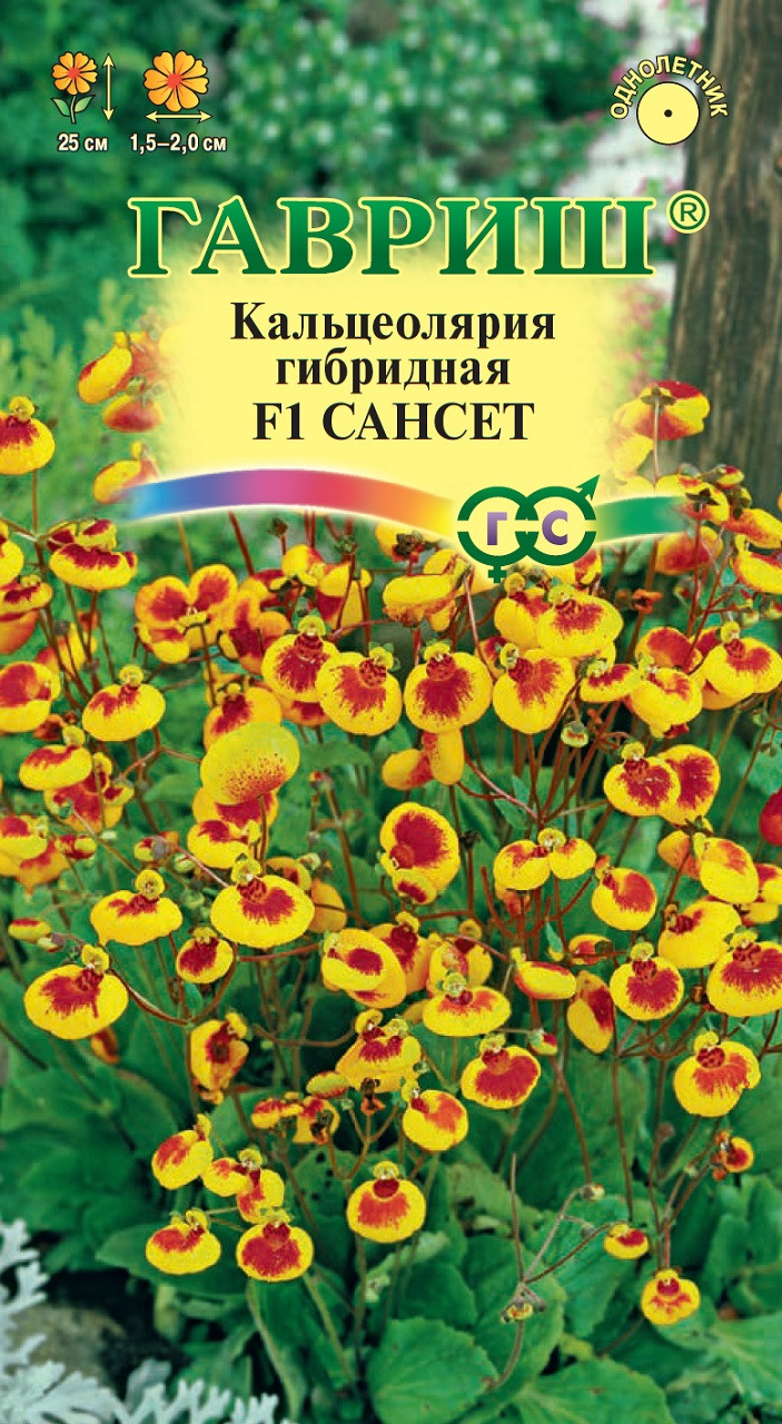 Купить Семена Кальцеолярии