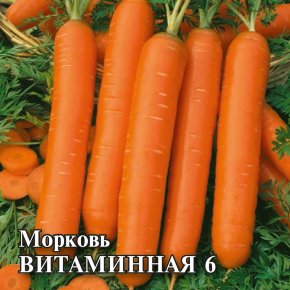 Семена Морковь Витаминная 6, 100г, Гавриш, Фермерское подворье