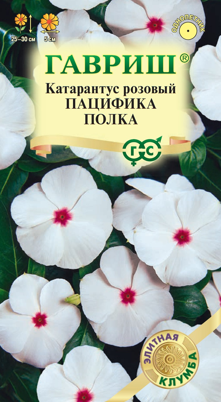 Катарантус Семена Купить В Спб