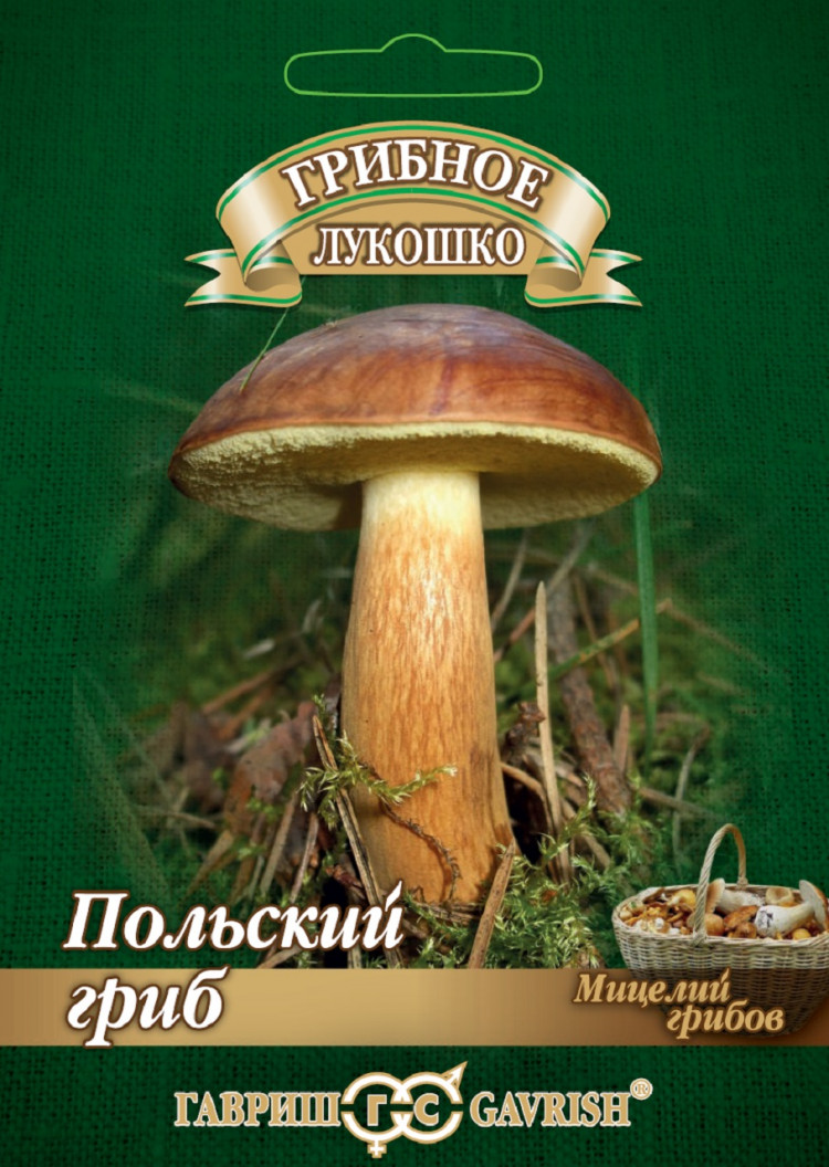 Где Можно Купить Семена Грибов