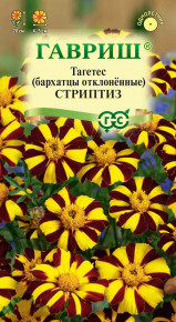 Семена Бархатцы отклоненные (тагетес) Стриптиз, 0,3г, Гавриш, Цветочная коллекция