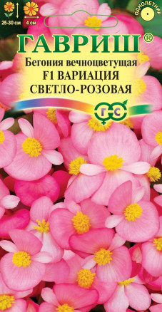 Семена Бегония вечноцветущая Вариация светло-розовая F1, 5шт, Гавриш, Цветочная коллекция