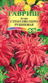 Семена Астра Страусово перо рубиновая, 0,3г, Гавриш, Цветочная коллекция