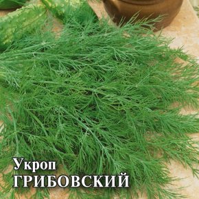 Семена Укроп Грибовский, 100г, Гавриш, Фермерское подворье