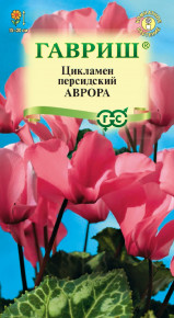 Семена Цикламен персидский Аврора, 3шт, Гавриш, Цветочная коллекция