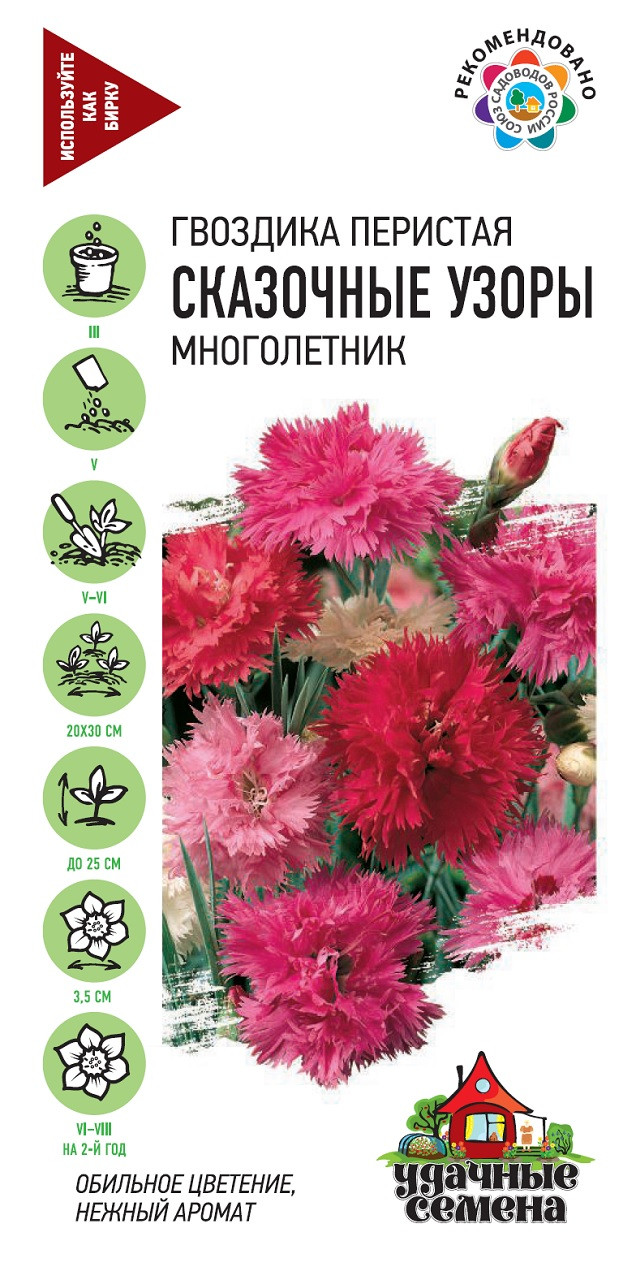 Сказка гвоздик. Сказка гвоздик. Сказка гвоздик. Гвоздика сказки дюймовочки смесь сортов китайская. Сказка гвоздик.