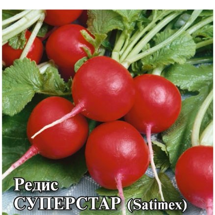 Семена Редис Суперстар, 25г, Гавриш, Фермерское подворье, Satimex