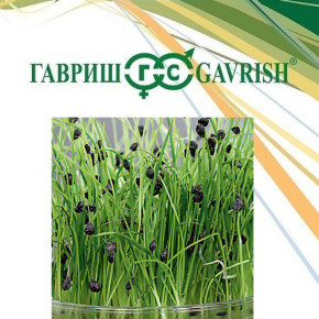 Семена микрозелень Лук репчатый, 200г, Гавриш, Фермерское подворье