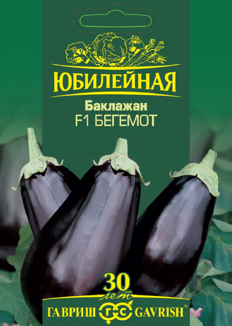 Баклажан Бегемот (Гавриш): купить в Миассе по цене 29 рублей/штука
