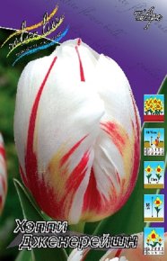 Тюльпан Хэппи Дженерейшн (Tulipa Happy Generation), 10шт, Color Line
