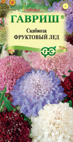 Семена Скабиоза пурпурная Фруктовый лед, смесь, 0,2г, Гавриш, Цветочная коллекция