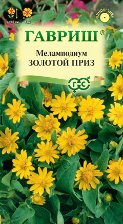 Семена Меламподиум Золотой приз, 0,1г, Гавриш, Цветочная коллекция