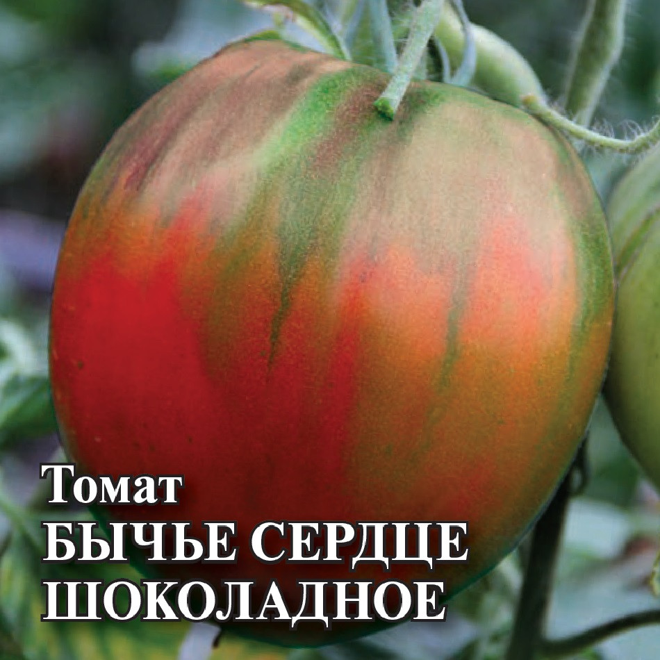 Семена Томат Бычье сердце шоколадное, 25г, Гавриш, Фермерское подворье ...